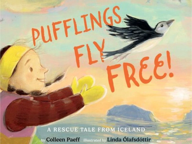 A child tosses a baby puffin into the sky. 