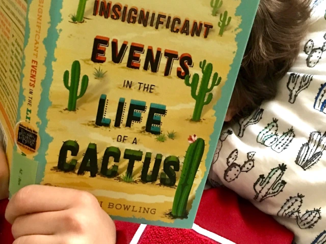 Insignificant Events In the Life of a Cactus by Dusti Bowling