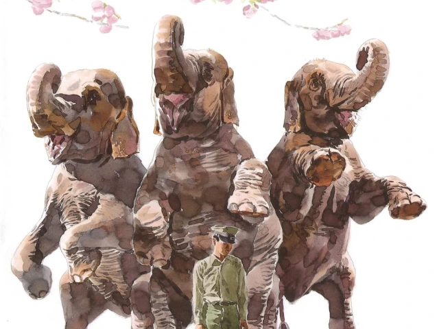 Three large elephants standing on their back feet behind their uniformed keeper