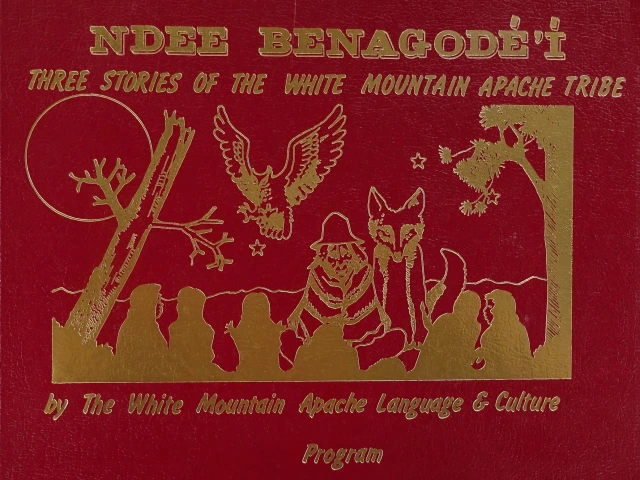 Leather bound book with gold leave title and art showing a storyteller stage with audience