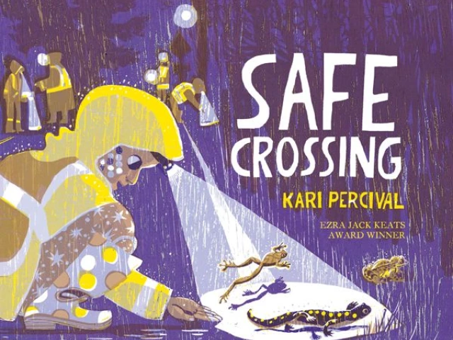 A child in a raincoat watches a frog, a salamander and a toad.