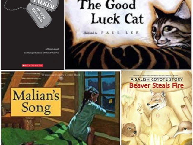 American Indian Experience