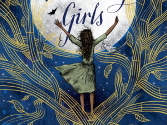 The Turnaway Girls Cover