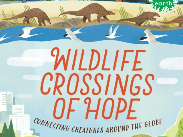 Animals and people moving to the left or to the right in matching environments