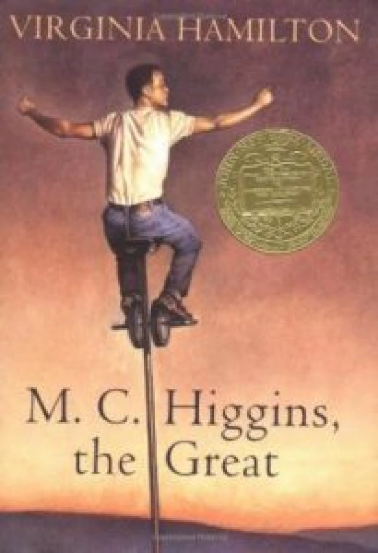 M.C. Higgins, The Great