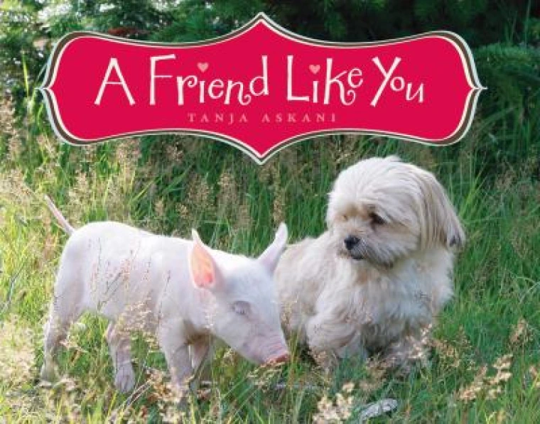 Photograph of a piglet and white puppy dog in the grass together.