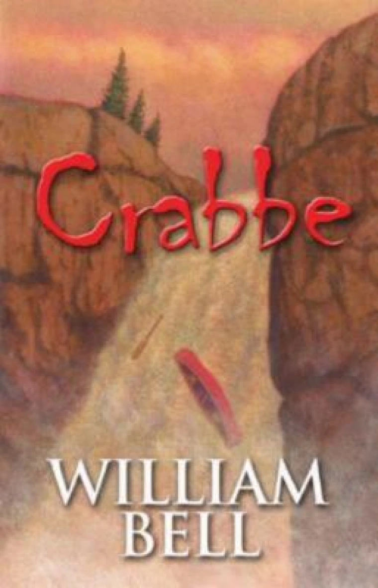 A waterfall is show in the center of the book and behind the waterfall is a dusty orange sky