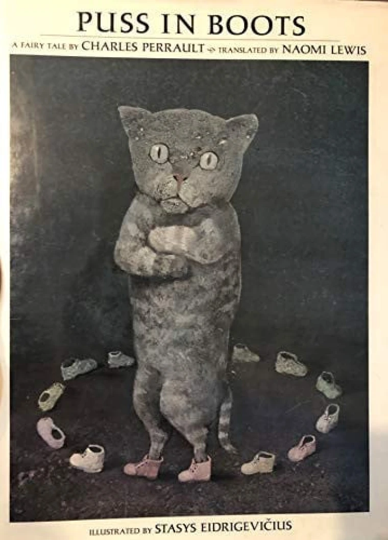 A cat is standing tall with their hands crossed