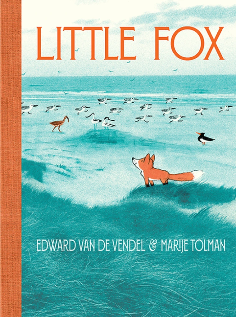 A little fox stands in a field of grasses looking at the various birds in the distance.