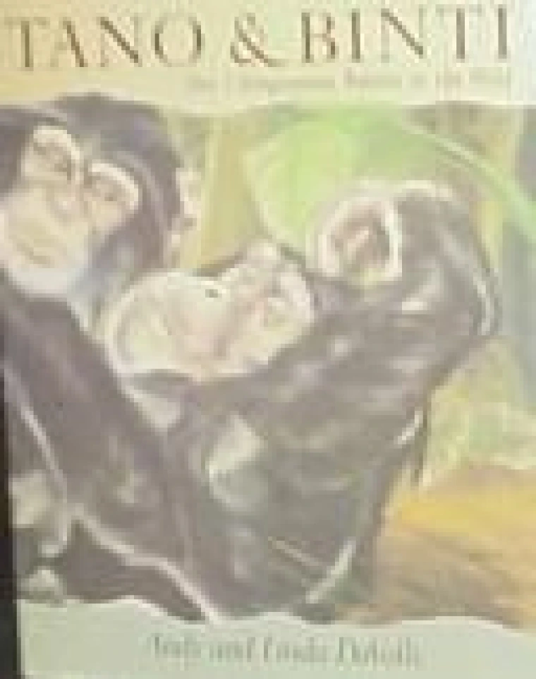 A default book image