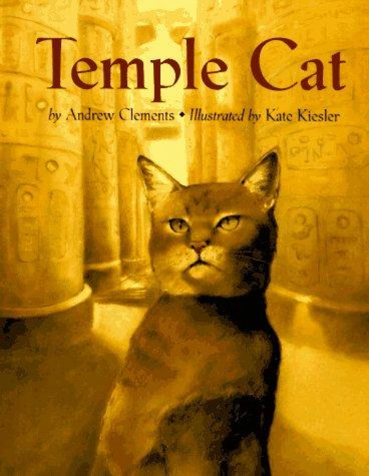 A default book image