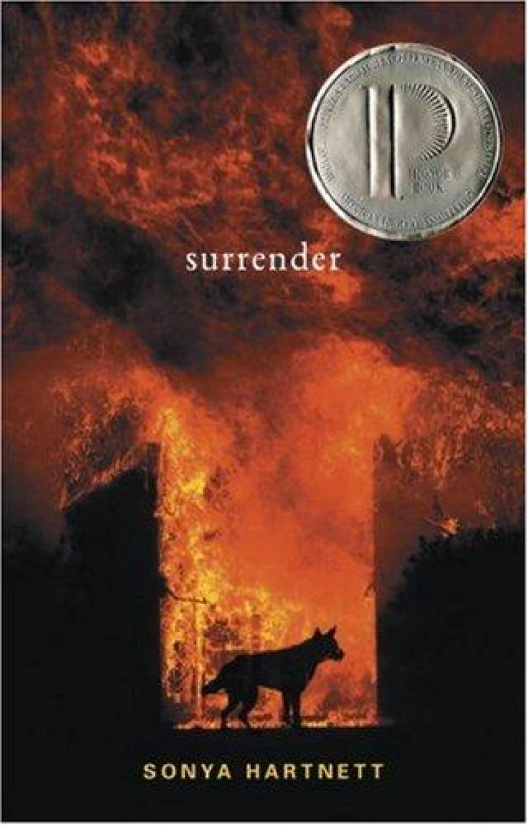 A default book image