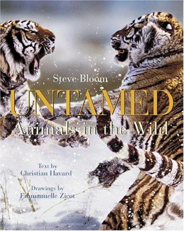 A default book image