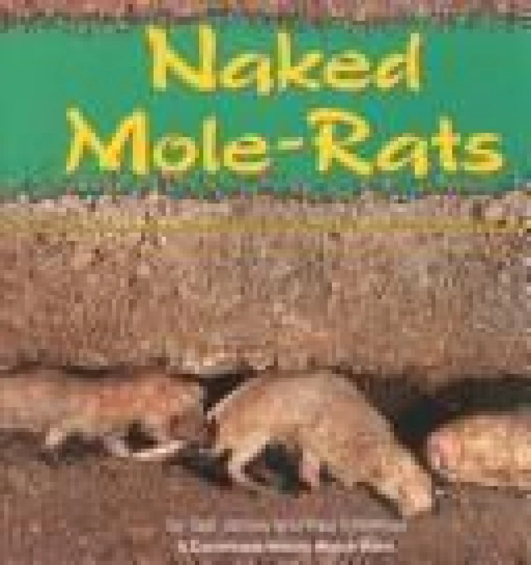 A default book image