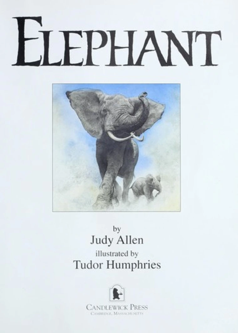 A default book image