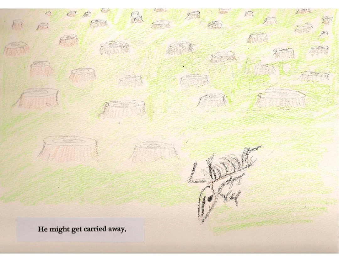 drawing of tree stumps