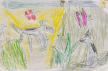 Drew’s drawing for his story about two wolves