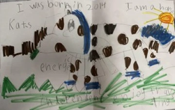 Kat’s response: I was born in 2014. I am a horse. Energetic, independent and enjoy traveling.