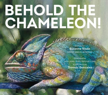 A close up photograph of a chameleon clinging to a thin branch.