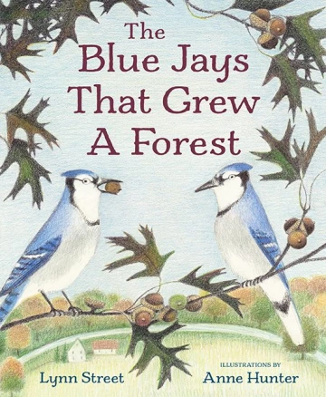 Two blue jays sit on a branch.