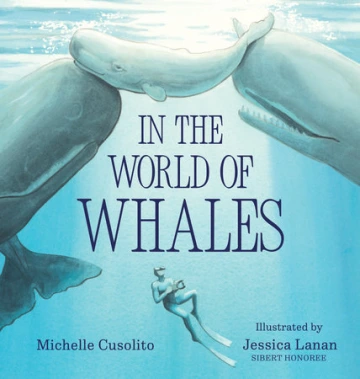 A diver looks up at three whales near the surface of the ocean.