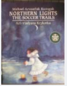 northern lights book cover