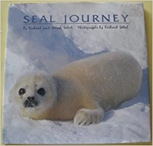 Cover of Feed Your Mind depicting a young boy reading a book, the cover showing bookshelves filled with colorful books.