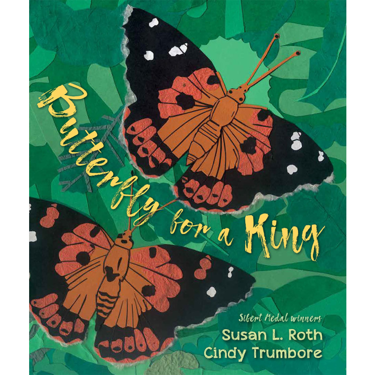 Two orange and black butterflies with their wings spread.