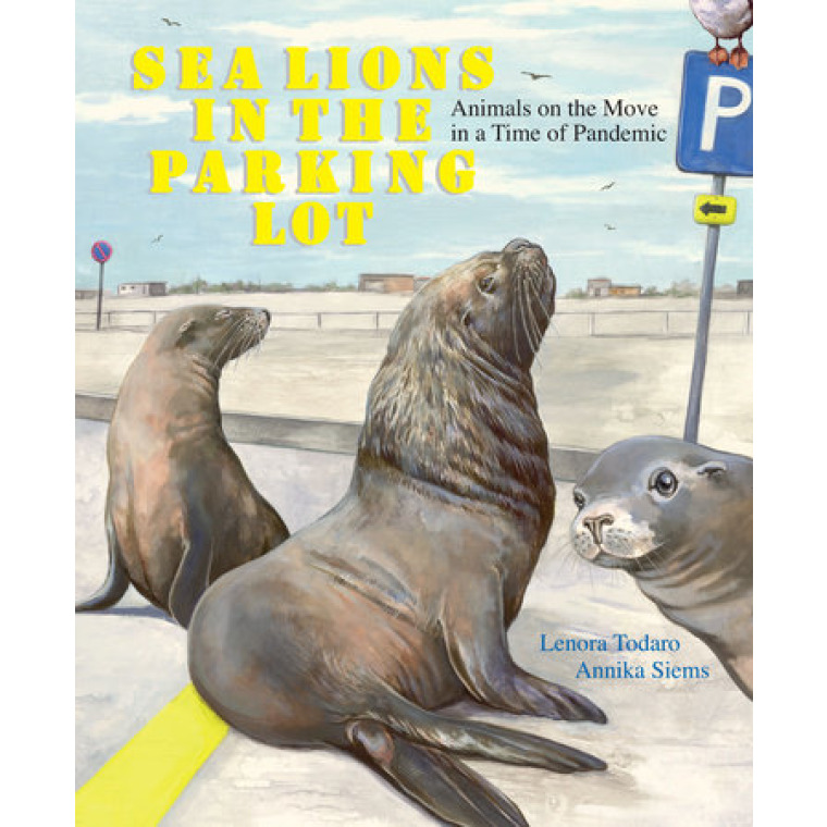Sea lions in an empty parking lot