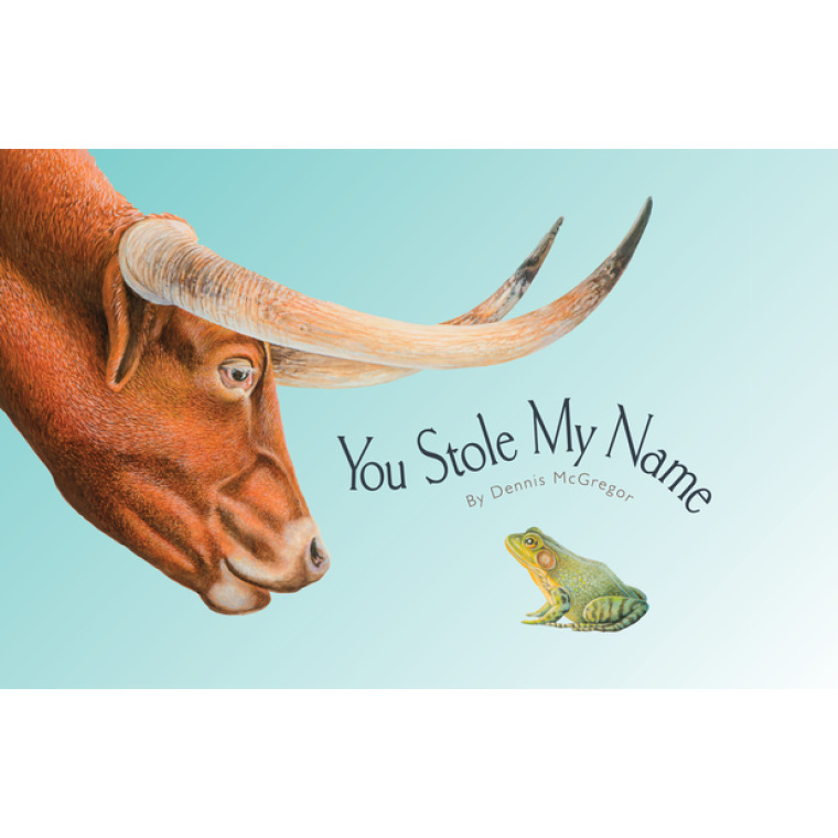 A large brown bull with big horns stares down at a green bullfrog.