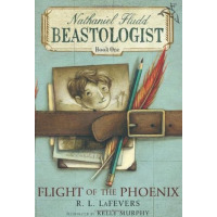 Picture of a young boy strapped to a journal with a pencil and orange feather.