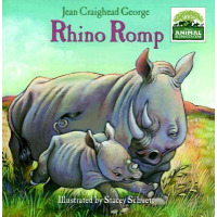 A mother rhino walks through a plain with her baby.