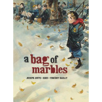Cover of A Bag of Marbles