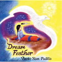 A native boy laying on the ground surrounded by a bird and a vast sky