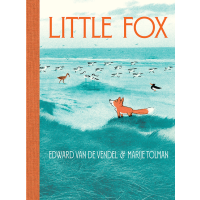 A little fox stands in a field of grasses looking at the various birds in the distance.