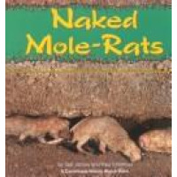 A default book image