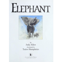 A default book image