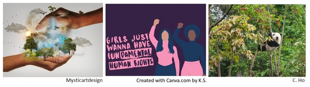 Image 1: Mysticartdesign's image of hands cupping a verdant cityscape from above and below, K.S.'s Canva design in purple tones two women with fists up and the text Girls Just Want to Have FUNdamental Human Rights, and C. Ho's image of a panda among trees.