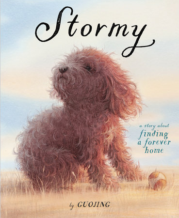 Cover of Stormy features a small, curly-haired dog and his ball created in soft hues with pencil and watercolor