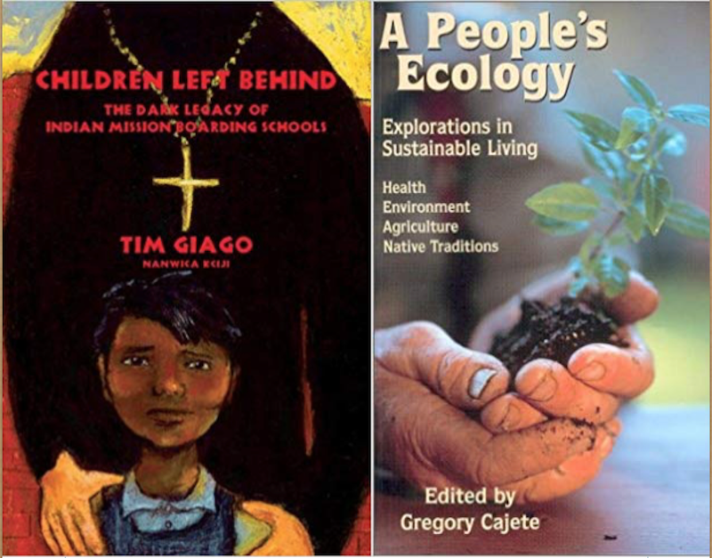 Using Indigenous Literature to Heal from Historical Trauma