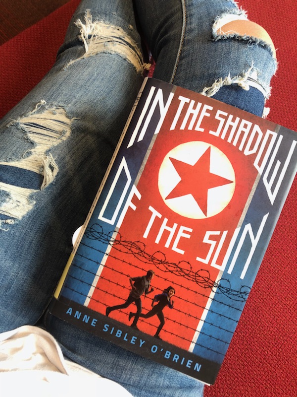 In the Shadow of the Sun by Anne Sibley O'Brien